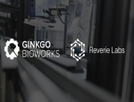 Ginkgo Bioworks Acquires Reverie Labs to Strengthen AI-Driven Drug Discovery