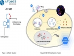 Aptamer Sciences Files IND Application for Phase 1 Clinical Trial of AST-201