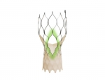 FDA Approves Medtronic's Evolut FX+ Transcatheter Aortic Valve Replacement System