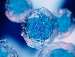 Panasonic and Shinobi Therapeutics to Develop iPS Cell Therapy Manufacturing Tech