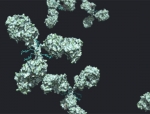 Aadi Bioscience Signs Licensing Deal with WUXI and HANGZHOU DAC for Novel ADC Portfolio