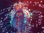 Ellipses Introduces Pioneering Clinical Trial Programme in Middle East
