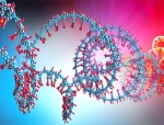 Entos Pharmaceuticals and Circio to Develop Novel Platform for CircVec Circular RNA Delivery
