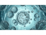 TECPR2 Foundation, Forge Biologics Partner on AAV Gene Therapy