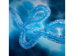 AMA and EMA Issue Joint Guidance on Ebola Vaccine Development