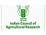 ICAR Develops India's First Indigenous Vaccine Against African Swine Fever
