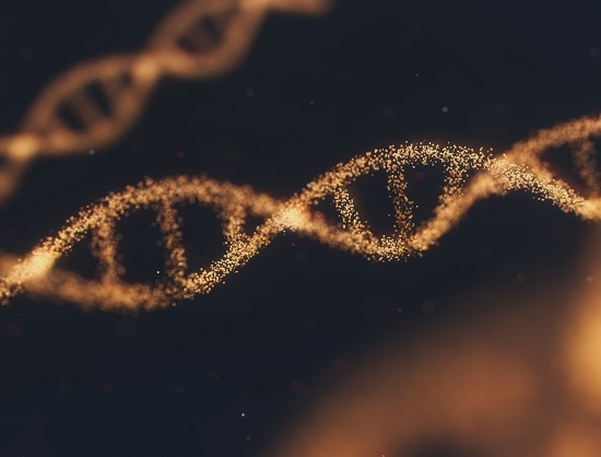 Neon Parody Labs Launches GENOMIRATHEON