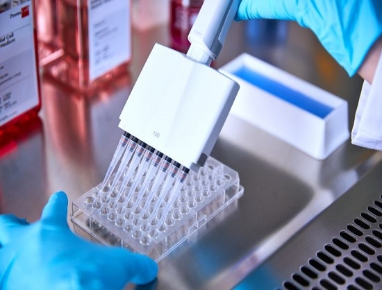 Promocell Enters GMP Field with Launch of Custom Cell Culture Media Services