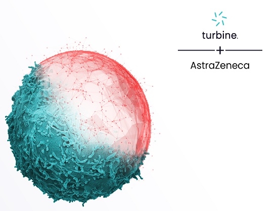 Turbine Partners with AstraZeneca to Accelerate Antibody-Drug Conjugate Discovery