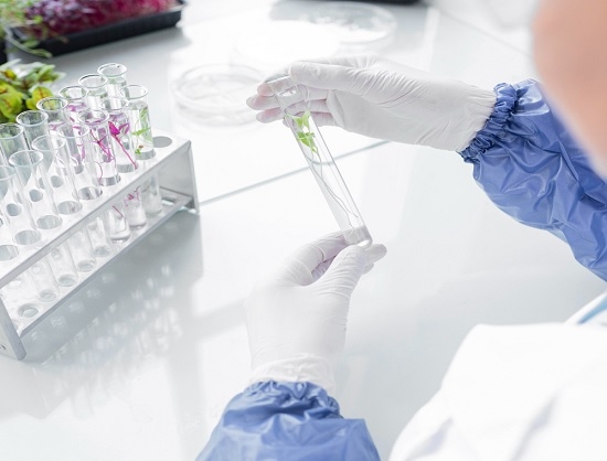 Syngene International Invests in Peptide Laboratory and Advanced Automation