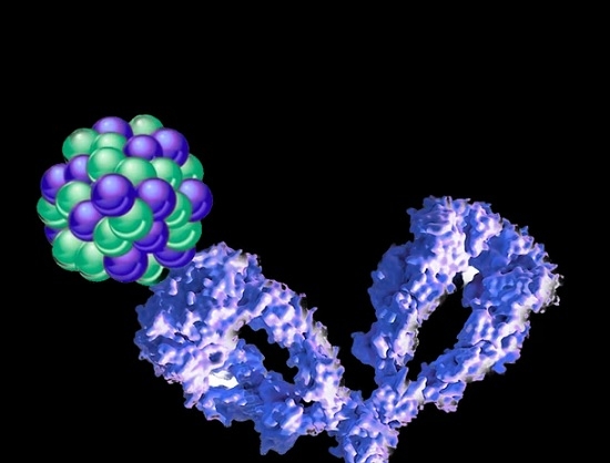 NAYA Therapeutics Partners with Alpha Nuclide to Advance Astatine-211 Cancer Therapy Development in China
