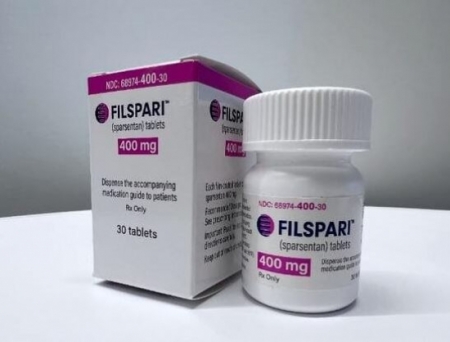 Travere Therapeutics and CSL Vifor's Sparsentan Recommended for IgA Nephropathy in Europe