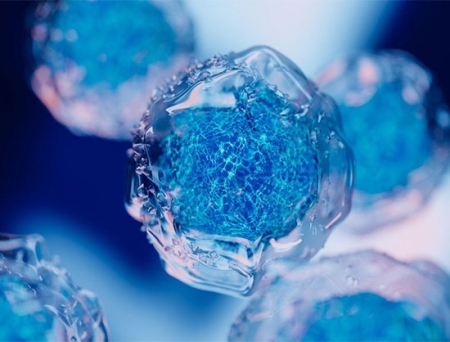 Panasonic and Shinobi Therapeutics to Develop iPS Cell Therapy Manufacturing Tech