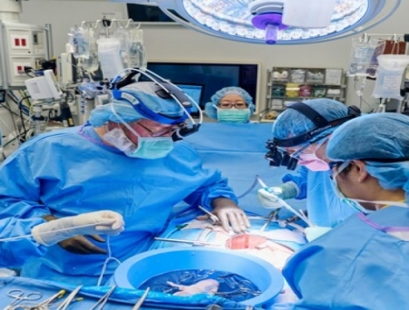 First-Ever Combined Heart Pump and Pig Kidney Transplant Gives New Hope to Patient with Terminal Illness