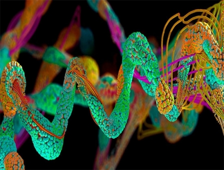 Pepper Bio to Gain Exclusive Rights for Clinical Development of Lerociclib