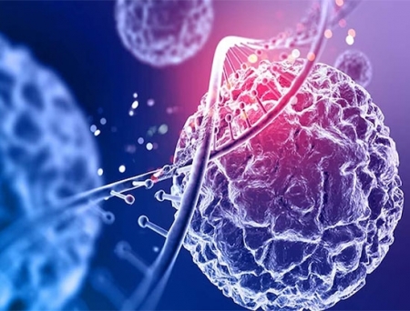 AmplifyBio, Xcellbio to Manufacture Solid Tumor-Targeting TCR-T Cell Therapy