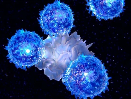 GRIT and Quangang to Boost Localization of Interleukin-2