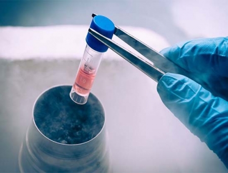 DefiniGEN and Atelerix to Ship In Vitro Cell Models Internationally