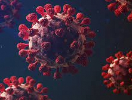 MSN Labs launches posaconazole to treat black fungus