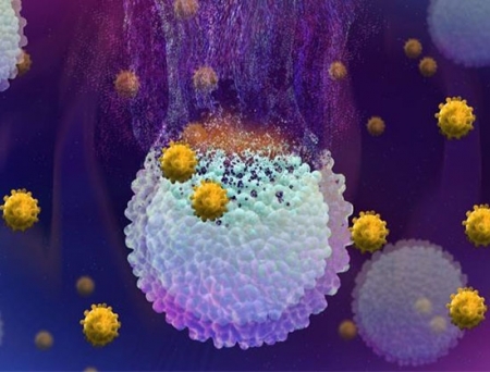 Seegene and Werfen Finalize Collaboration Deal on Technology-Sharing Initiative