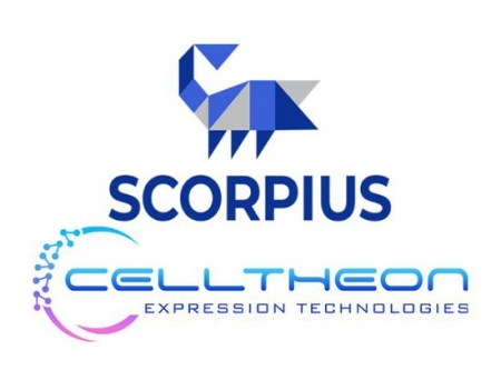 Scorpius Teams Up with Celltheon to Offer Affordable Biotherapeutics