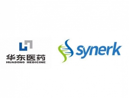 Huadong Medicine, SynerK Partners to Jointly Develop Novel siRNA Drug SNK-2726