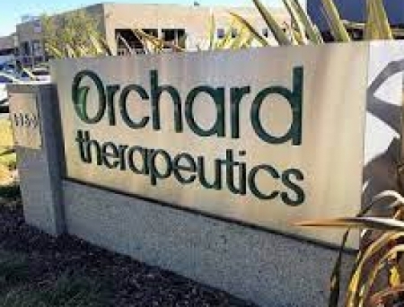 Orchard Therapeutics, Pharming team up to develop and commercialize HSC gene therapy to treat hereditary angioedema