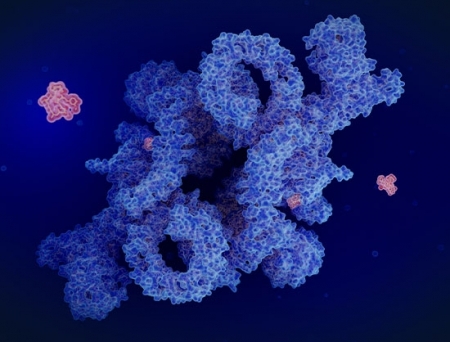 Eisai Signs Deal to Develop Tasurgratinib in Greater China Region with SciClone Eisai Signs Deal to Develop Tasurgratinib in Greater China Region with SciClone