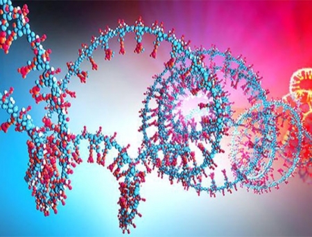 Entos Pharmaceuticals and Circio to Develop Novel Platform for CircVec Circular RNA Delivery