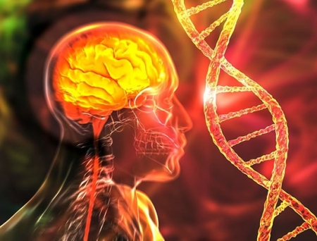 Klotho Neurosciences Parteners with AAVnerGene to Manufacture Gene Therapy Assets