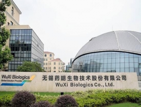 WuXi Biologics Unveils WuXia293Stable Platform to Advance Manufacturing of Complex Biologics