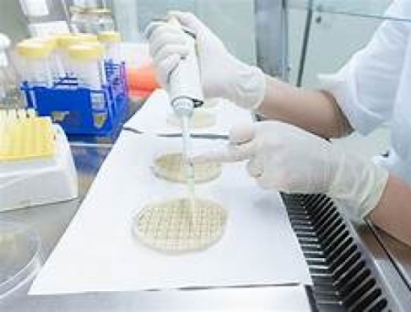 Collaboration Aims to Scale AAV Manufacturing for Rare Neuromuscular Junction Diseases