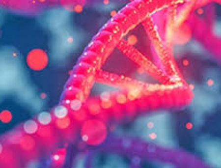 Nucleome unveils South Asia's largest genomics research centre in Hyderabad