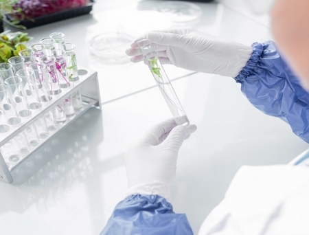 Syngene International Invests in Peptide Laboratory and Advanced Automation