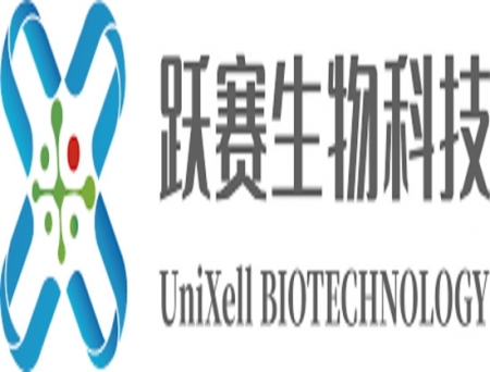 Shanghai UniXell Biotechnology Secures US FDA IND Clearance for UX-GIP001, First iPSC-Derived Cell Therapy for Epilepsy