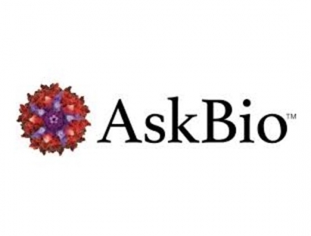 AskBio Doses First Participant in Phase 1/2 Trial for Pompe Disease Gene Therapy