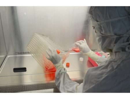 Genprex Partners with US CDMO to Scale Up Diabetes Gene Therapy Manufacturing