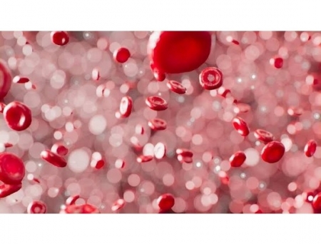 DKMS Marks 1,000 Paediatric Stem Cell Transplants in India Amid Thalassemia Donor Shortage