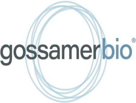 Gossamer Bio Submits First NDA for Seralutinib in PAH