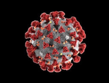 European regulators issue guidance on regulatory requirements in the context of COVID-19 pandemic