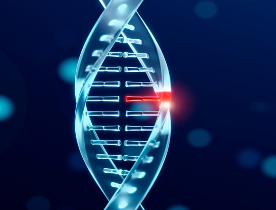 Primrose Bio Launches Next-Gen RNA Polymerase for Self-Amplifying mRNA