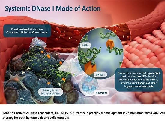 Xenetic Biosciences, Scripps Research Extend Collaboration to Advance DNase I and CAR-T Combination Programme