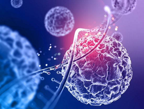 GSK and LTZ Collaborate to Advance Novel Myeloid Cell Engagers in Oncology