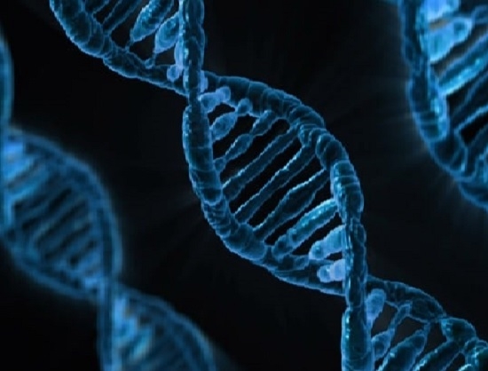 AGC Biologics to Manufacture AAVantgarde's Dual-Vector Gene Therapies for Inherited Retinal Disorders