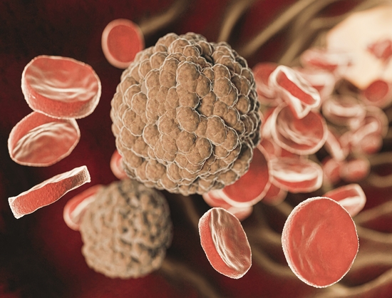 Innovent's Tri-Specific Antibody IBI3003 Secures FDA Fast Track Status for Relapsed/Refractory Multiple Myeloma