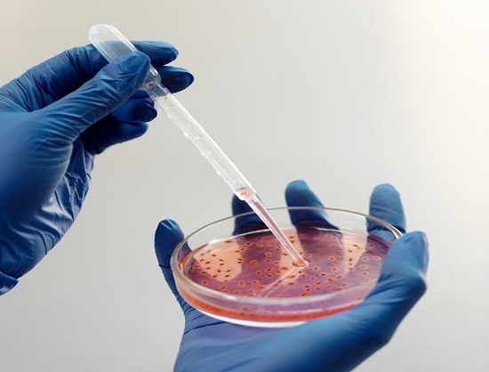 Pendulum Therapeutics Expands Microbiome Research in Women's Health and Dermatology