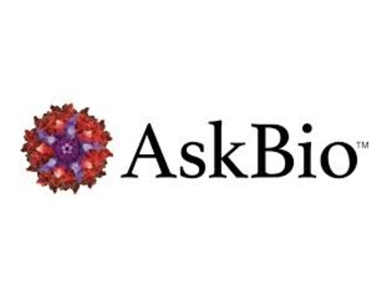AskBio Doses First Participant in Phase 1/2 Trial for Pompe Disease Gene Therapy