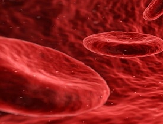 NIH Identifies Cells that Protect against Inflammatory Bowel Disease