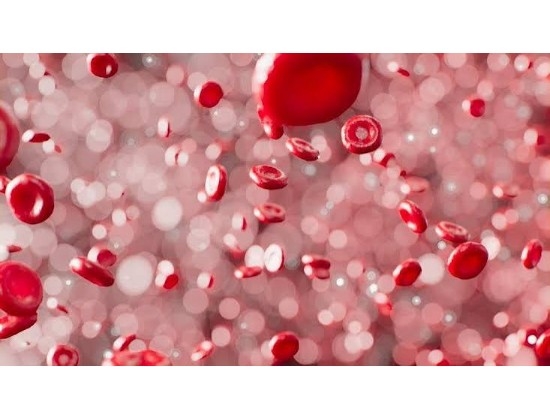 DKMS Marks 1,000 Paediatric Stem Cell Transplants in India Amid Thalassemia Donor Shortage