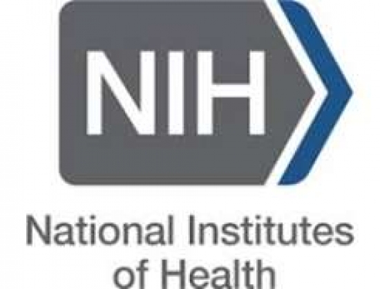 NIH-Funded Study Finds K-9 Reverses Vision Loss in MS Models